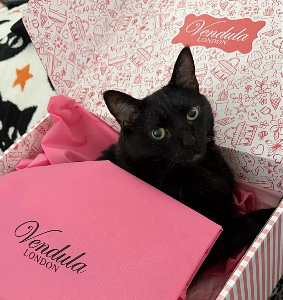 Black Cat Love loves Vendula London!