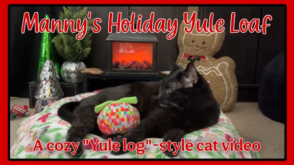 Manny's Holiday Yule Loaf, a cozy Yule Log-style video