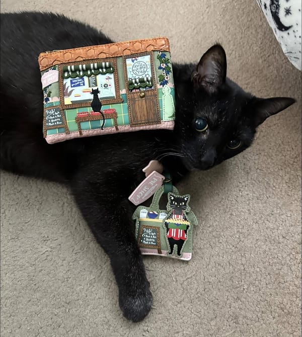 Vendula London January sale: Pounce on these cat-themed purses & accessories